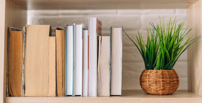 Why Self-Publishing a Book in 2026 Is the Smartest Move You Haven’t Made Yet